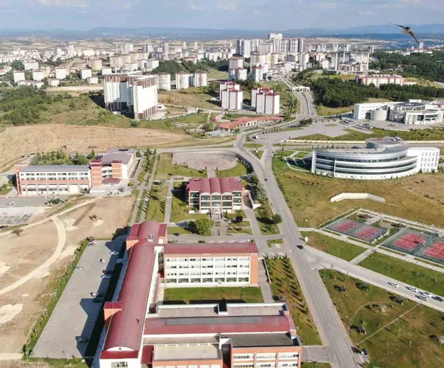 Gece mavi ışığın sağlığa etkisi araştırılıyor; propolisin koruyucu rolü sınanacak