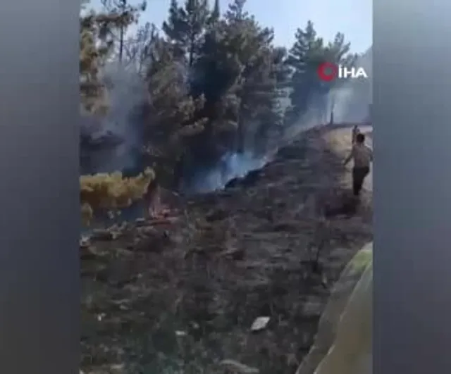 Gülnar'da ekiplerin hızlı müdahalesi orman yangınını kontrol altına aldı