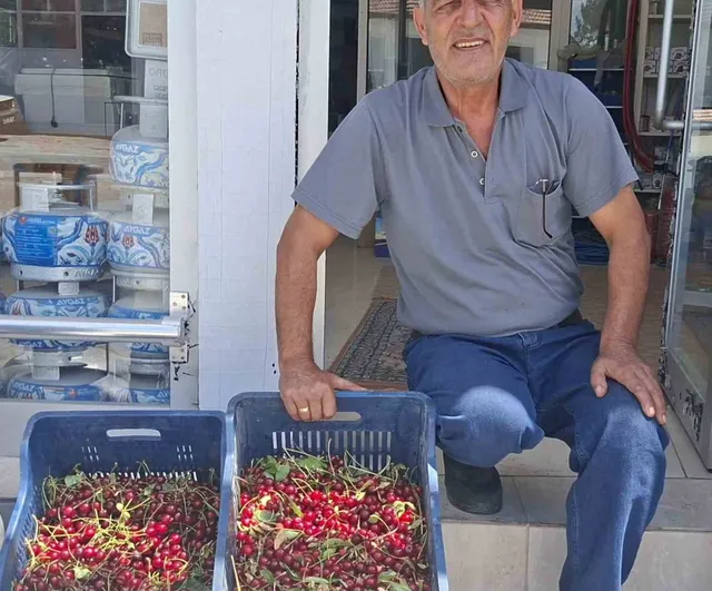 Hisarcık’ta vişne alımları başladı, üreticiler fiyatlardan memnun değil