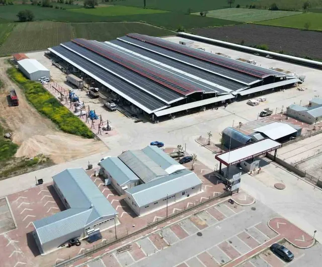 İnegöl hayvan pazarı şap vakası sonrası 30 temmuz'da yeniden açılıyor