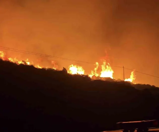İzmir’de makilik alanda yangın çıktı