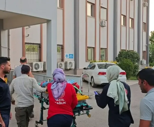 Kahta'da kamyonet devrildi: altı kişi yaralandı