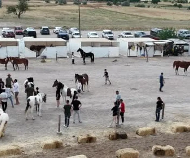 Kapadokya’da ikinci uluslararası at ve atçılık kültürü festivalinde güzellik yarışması yapıldı