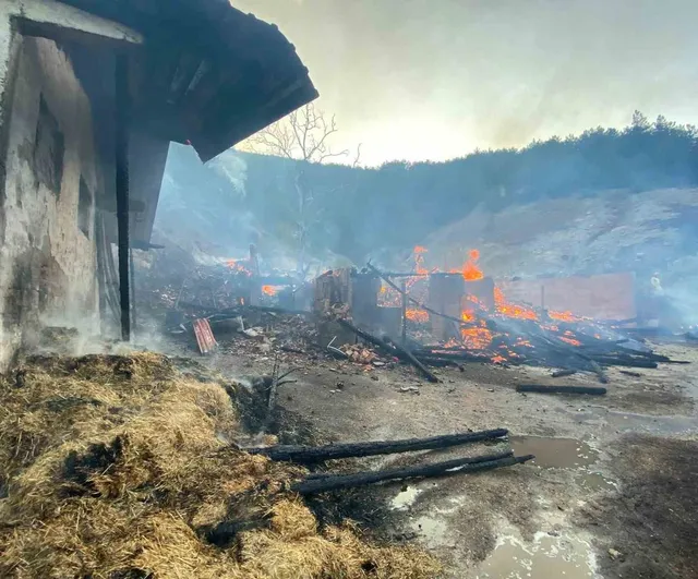 Kastamonu'da ahşap ev yangını ormana sıçradı