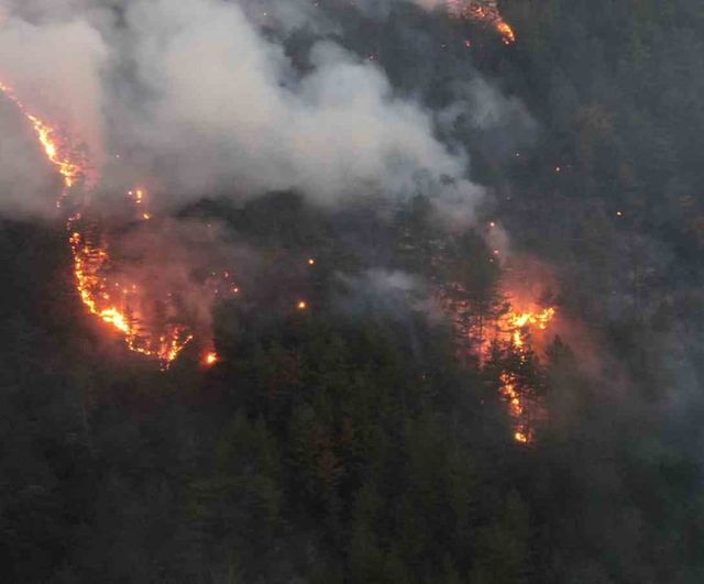 Kastamonu'da orman yangını kontrol altına alındı