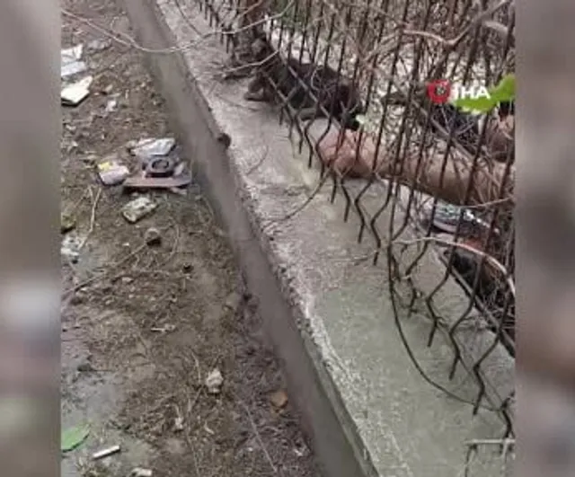 Kırıkkale itfaiyesi demir korkuluklara sıkışan yavru kediyi kurtardı