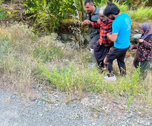 Kozan'da kayalıklardan düşen kişi orman ekiplerince kurtarıldı