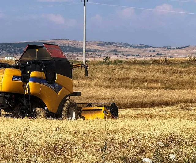 Kütahya'da yerli arpa çeşitleri yüksek verimle sahada doğrulandı