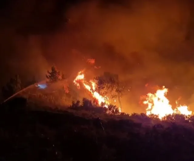 Milas'ta orman yangını gece karadan müdahaleyle sürüyor