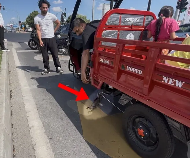 Mopede dadanan yavru kedi ezilmekten son anda kurtarıldı
