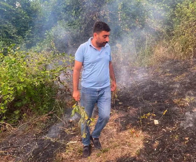 Muhtarın müdahalesiyle büyümeden söndürülen fındıklık yangını