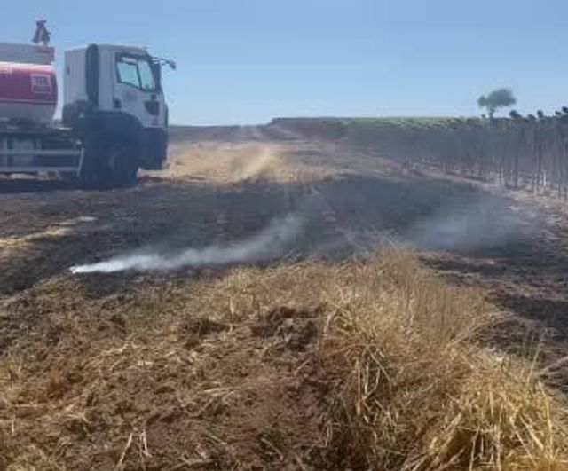 Muratlı’da rüzgarın etkisiyle yayılan anız yangını hızla söndürüldü