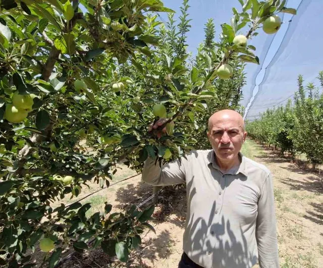 Rekor beklenen elma sezonu öncesi Karaman’da üreticilere dolandırıcı uyarısı