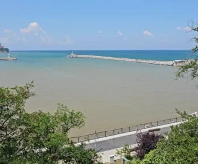 Sağanak sonrası Zonguldak sahillerinde çamur tabakası oluştu
