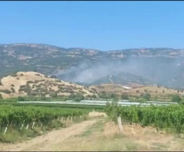 Sarıgöl'de orman yangını: ekipler havadan ve karadan müdahale ediyor