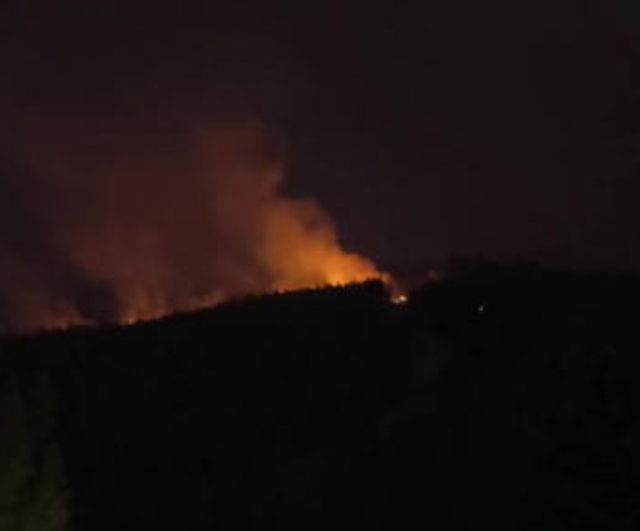 Seydikemer'de gece boyu karadan süren alev savunması