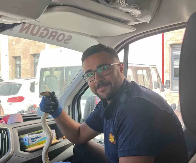 Sorgun kaymakamlığı bahçesinde görülen yılan ekiplerce yakalanıp doğaya bırakıldı