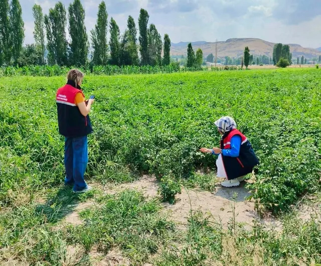 Tarım arazilerinin korunması için Afyonkarahisar'da saha denetimleri sürüyor