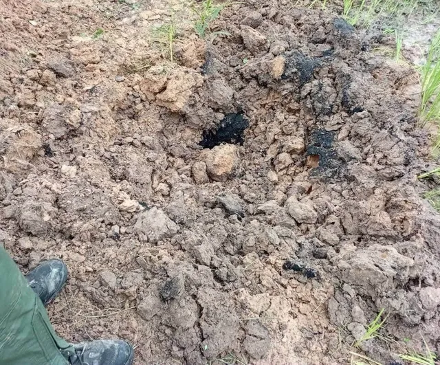 Tayland’da evcil köpek eve el bombası getirdi