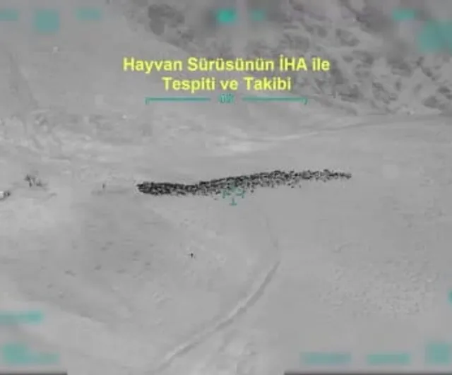 Van'da 800 küçükbaş hayvanın yağmalanmasına ilişkin İHA destekli operasyonda 4 gözaltı