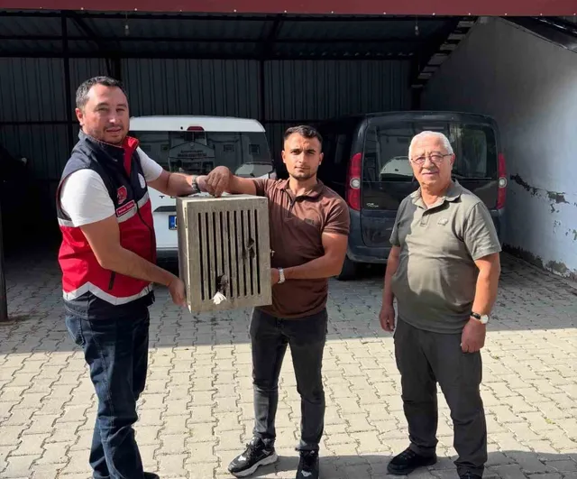Yaralı leylek Devrekani'de ilk müdahale sonrası doğaya dönmeyi bekliyor