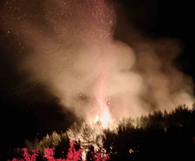 Alanya'da gece alevlerine karşı seferberlik: orman yangını sabaha doğru kontrol altına alındı