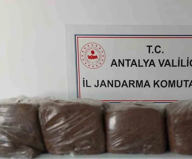 Alanya ve Demre'de jandarmadan kaçak tütüne darbe