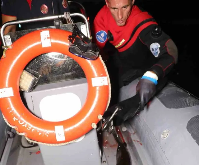 Alibeyköy deresinde bulunan yavru yunusun kurtarılış anları ortaya çıktı