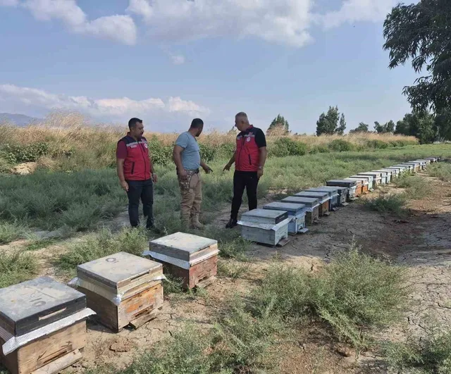 Antakya'da bal sağımı devam ediyor: üreticiler verim ve arı sağlığına odaklandı