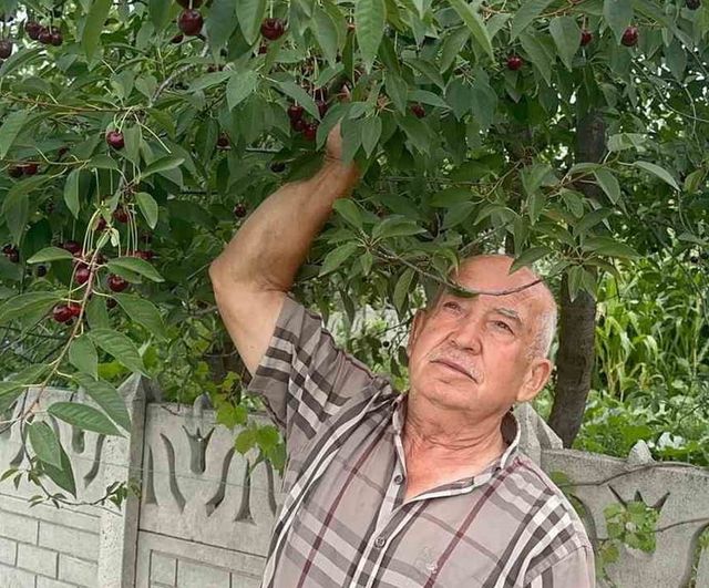 Az stok ve yüksek aroma Sultandağı vişnesini pazarın gözdesi yaptı