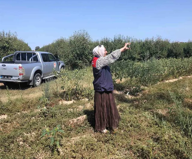 Babaeski'de tarım arazilerinin gerçek resmi uydu ve saha verileriyle ortaya çıkıyor
