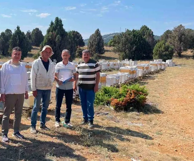 Beyşehir'de arı çiftliklerinde yerinde tespit ve destek planlaması