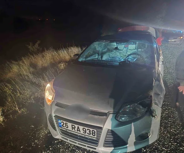 Bozüyük'te gece yolculuğu ölümle bitti: aniden yola fırlayan geyik telef oldu