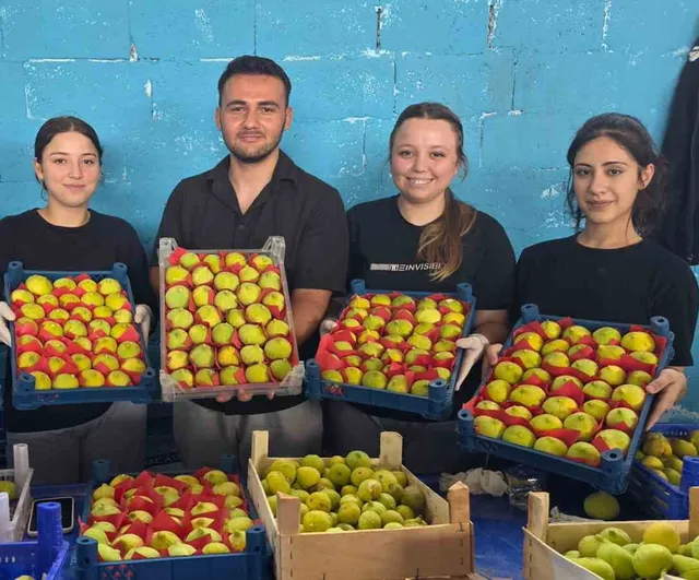 Buharkent'in erkenci inciri sofralara yolculuğa çıktı