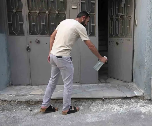 Bursa'da mahalleyi pireler bastı: terk edilmiş apartmanda hayvanlara kötü muamele iddiası