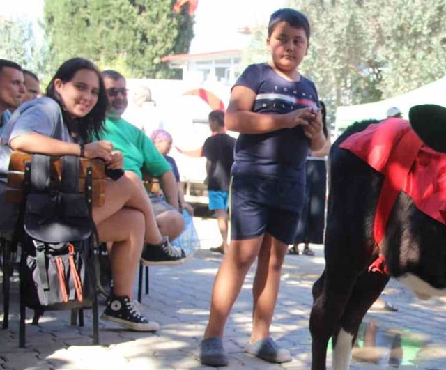 Buzağılar podyuma çıktı: Yerkesik'te 17 aday yarıştı
