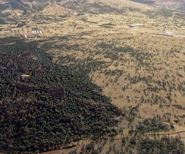 Çivril'de kuru otlarla başlayan yangın rüzgarla yayıldı, 100 dönüm zarar gördü