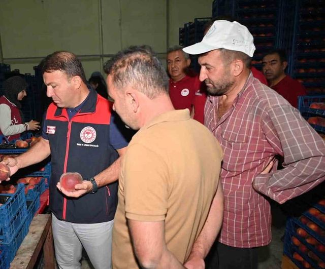 Çivril'de şeftalinin üretimden pazarlamaya yolculuğu yerinde incelendi