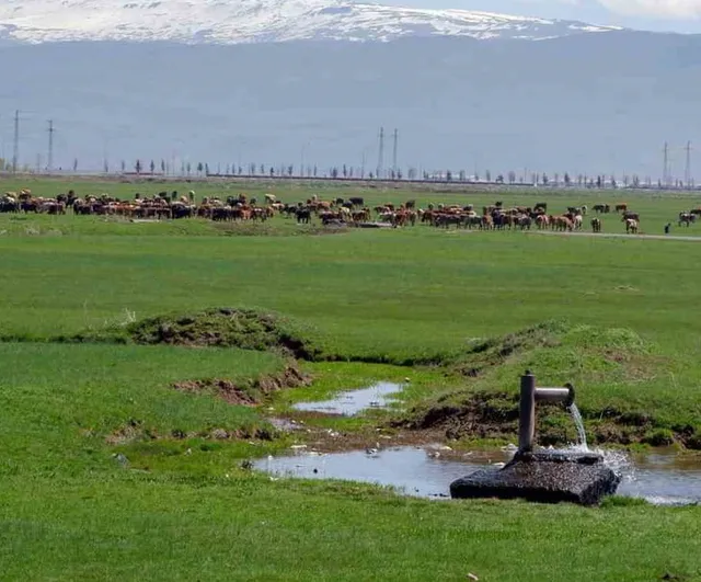 Danimarka'nın 1933 hamlesi: Erzurum ve Kars'ta süt sanayisi planı