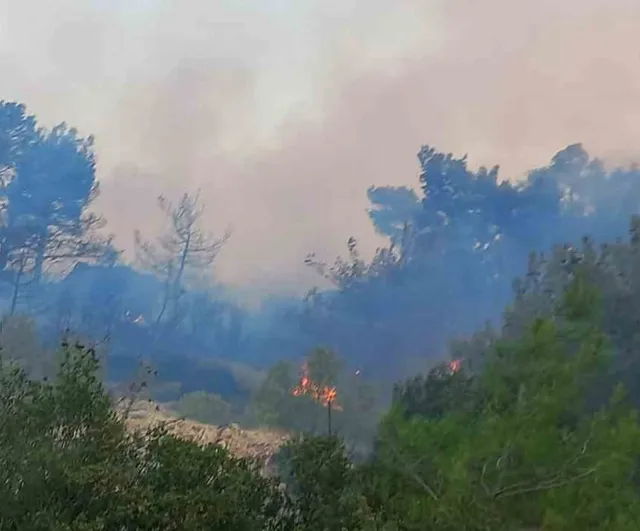 Ezine’de alevlere karşı kapsamlı müdahale: havadan ve karadan 131 personel sahada