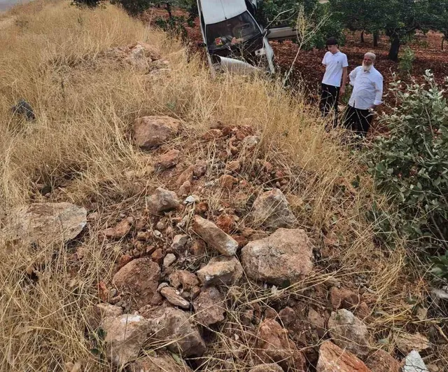 Fıstık ağacında asılı kalan otomobil: 2 yaralı