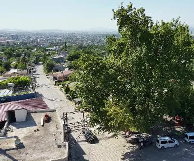 Gebeli Mahallesi'nin 260 yıllık çınarı mahalleye doğal serinlik sunuyor