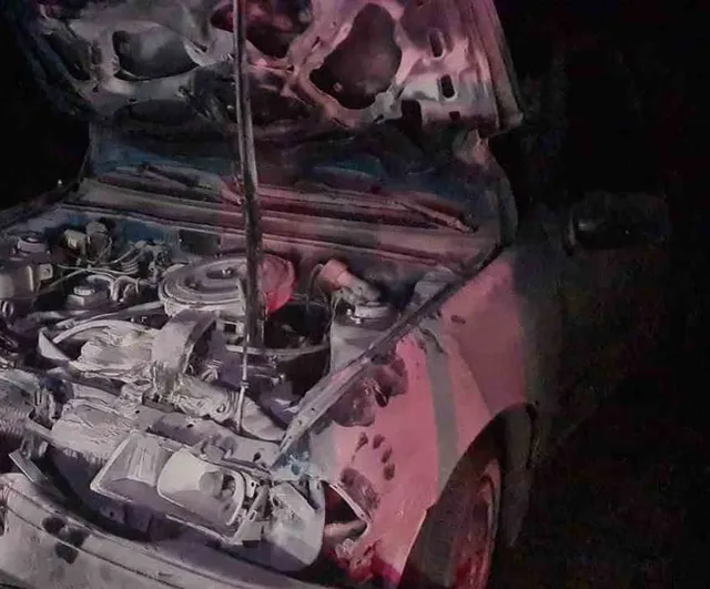 Gece vakti Karapınar ayrımında mandalarla çarpışan araç iki kişiyi yaraladı