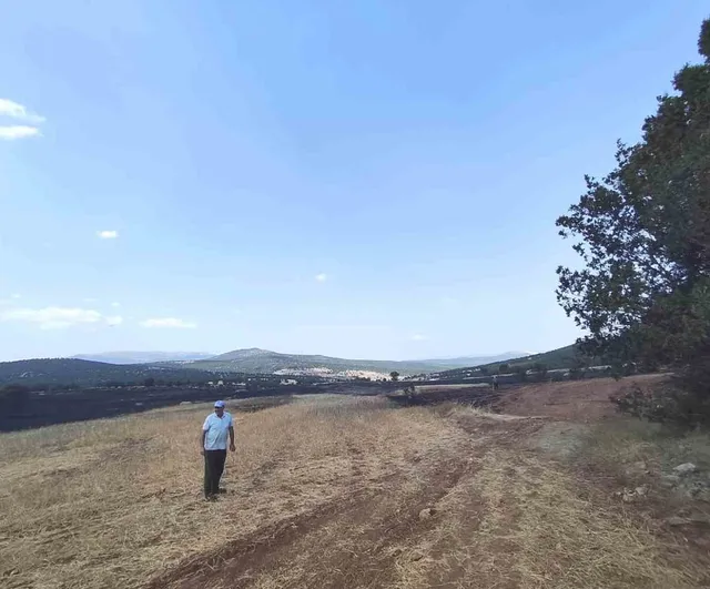 Gediz karayolu kıyısında çıkan yangının ardından tarım arazilerinde hasar tespiti