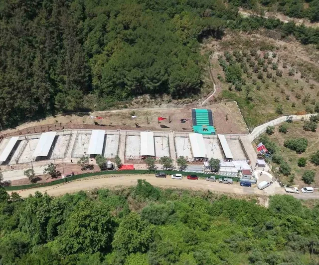 Gemlik hayvan yaşam alanının ziyaretlere kapatılmasına tepkiler yükseliyor