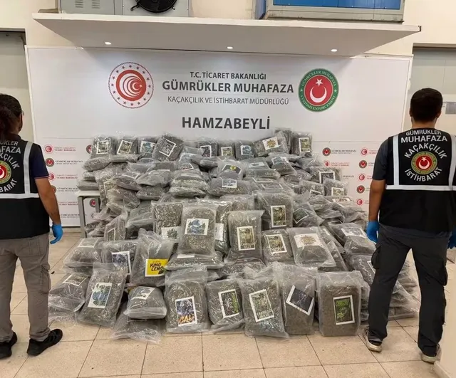 Hamzabeyli gümrük kapısında tırda 287 kilo 910 gram esrar bulundu