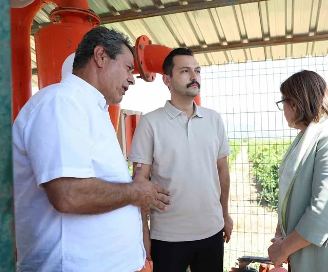 İslahiye'de telli bağ sistemiyle üzüm verimi artıyor