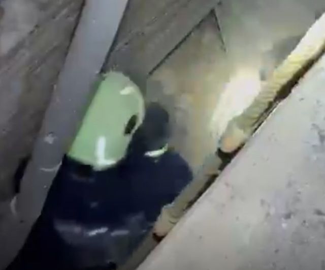 İtfaiyenin hazırlığını boşa çıkaran akrobatik kaçış: kedi 7 metrelik boşluktan çıktı