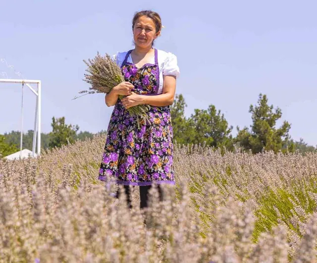 Kadın girişimci lavantayı kâra çevirdi: Duru Lavanta Köyü örneği