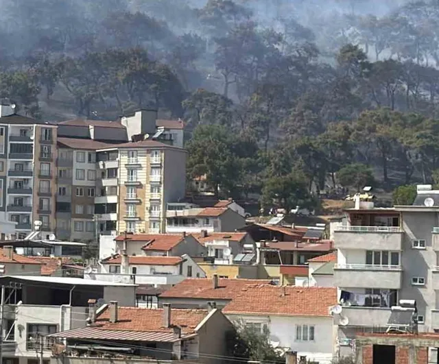 Kazdağları eteklerinde kontrol altına alınan yangının yönü Zeytinli'ye çevrildi